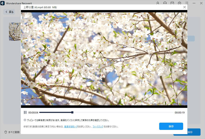動画をプレビュー
